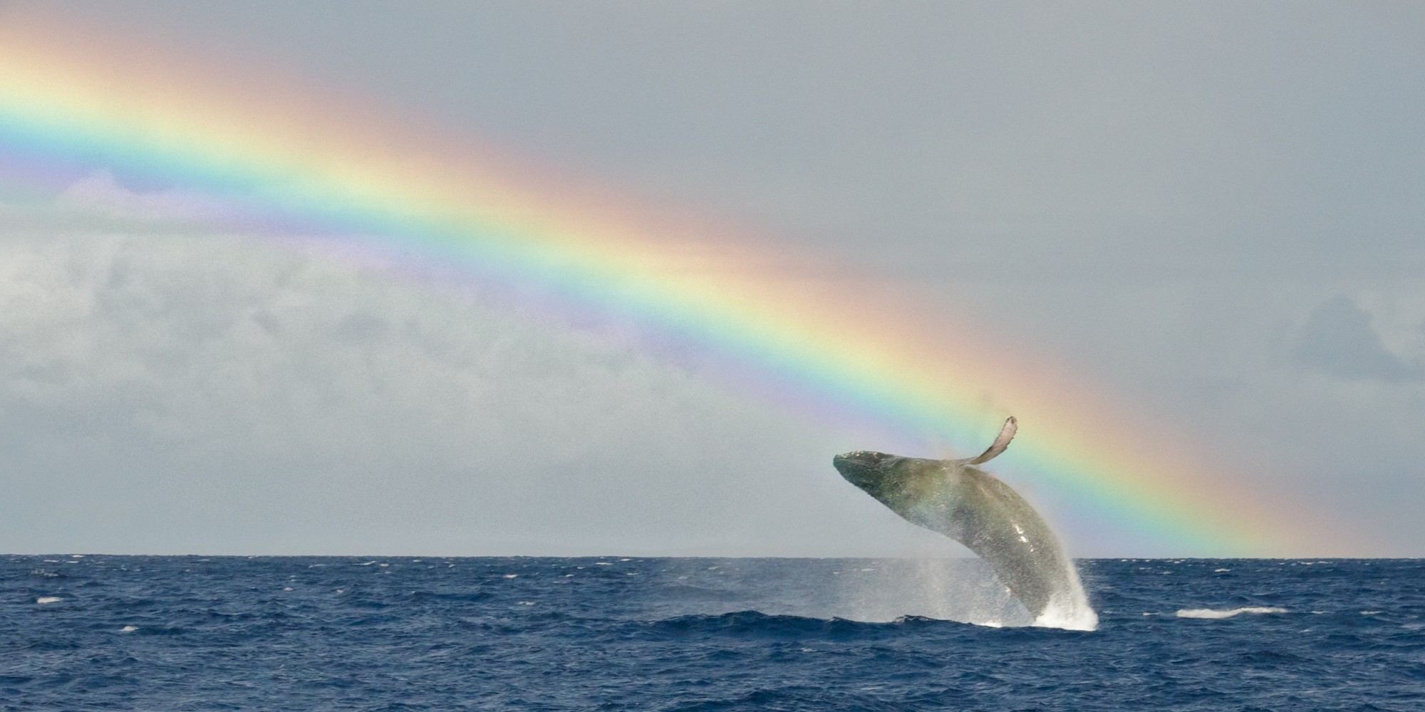 17 Photos of Hawaii Rainbows To Brighten Your Day HuffPost