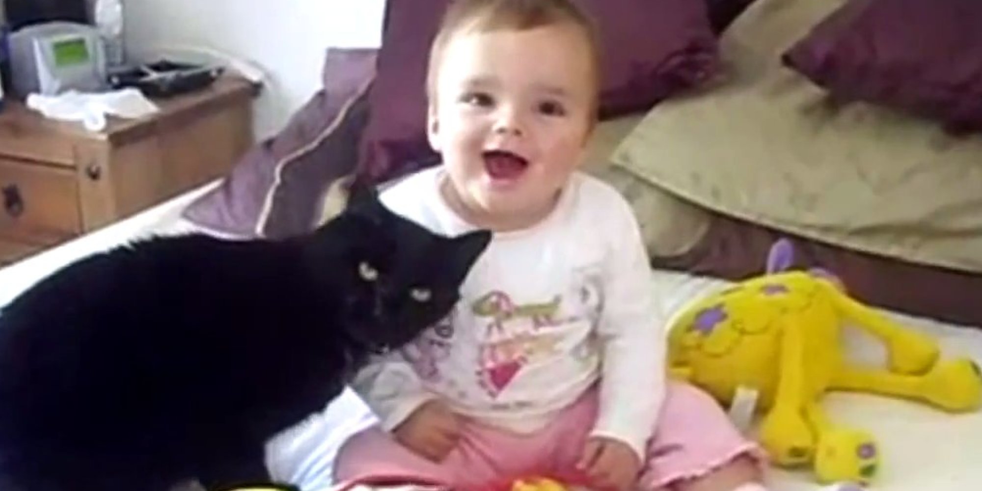 Cats And Babies Cuddle For 4 Wonderful Minutes (VIDEO) HuffPost