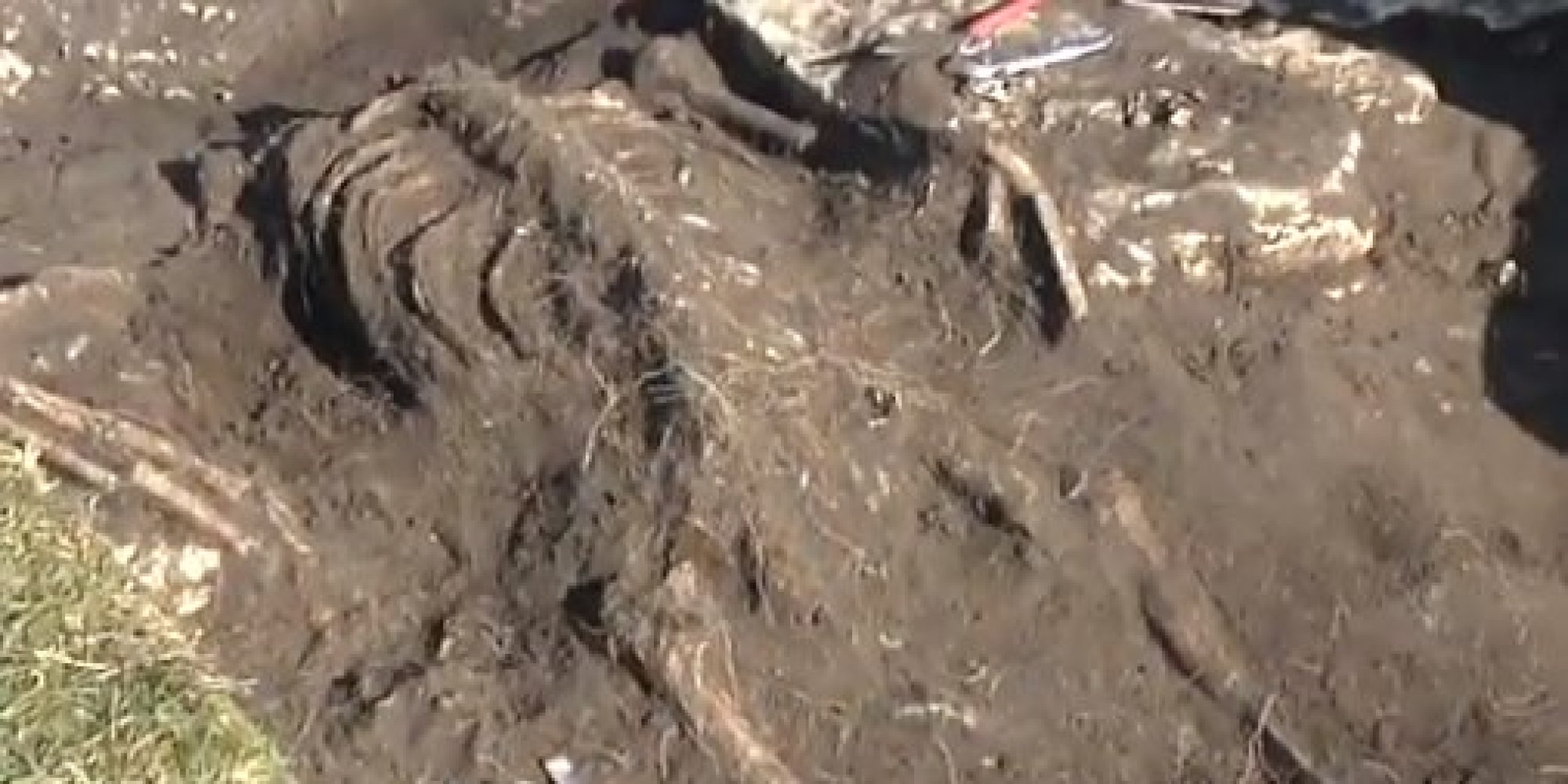Mysterious Massacre Frozen In Time At 'Swedish Pompeii