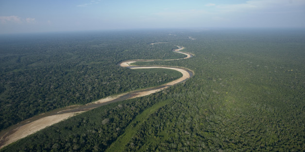 La forêt amazonienne et ses arbres ont été inventoriés pour la première fois.