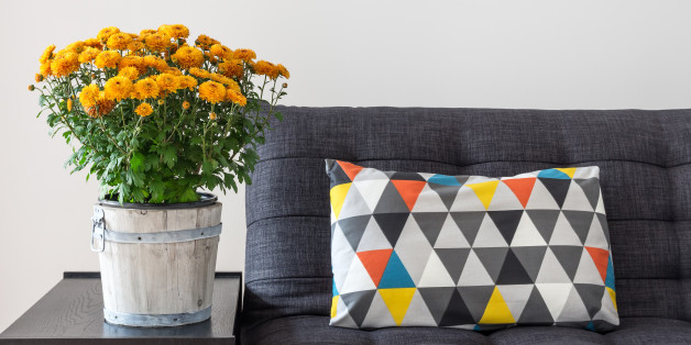 bright cushion on a sofa and...