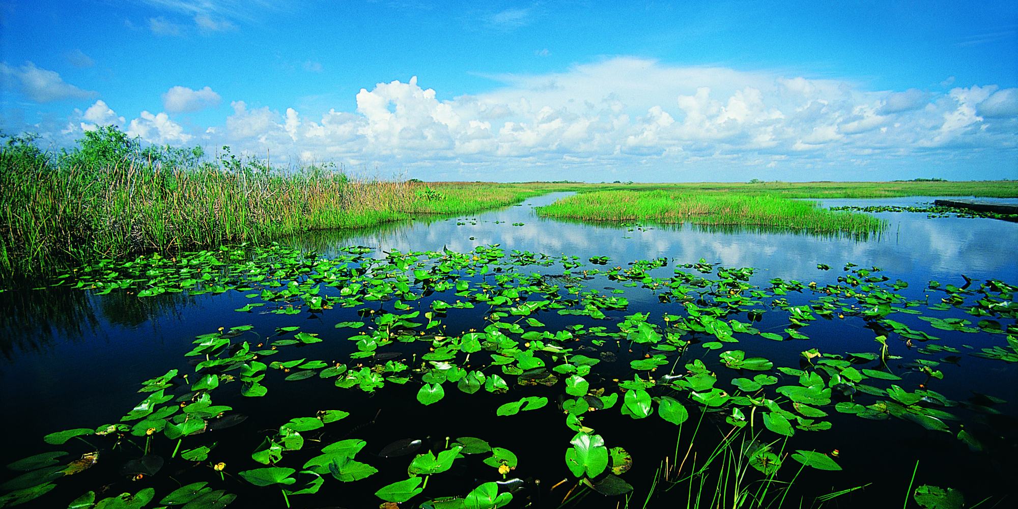 Why You Should Care About Everglades Restoration | HuffPost