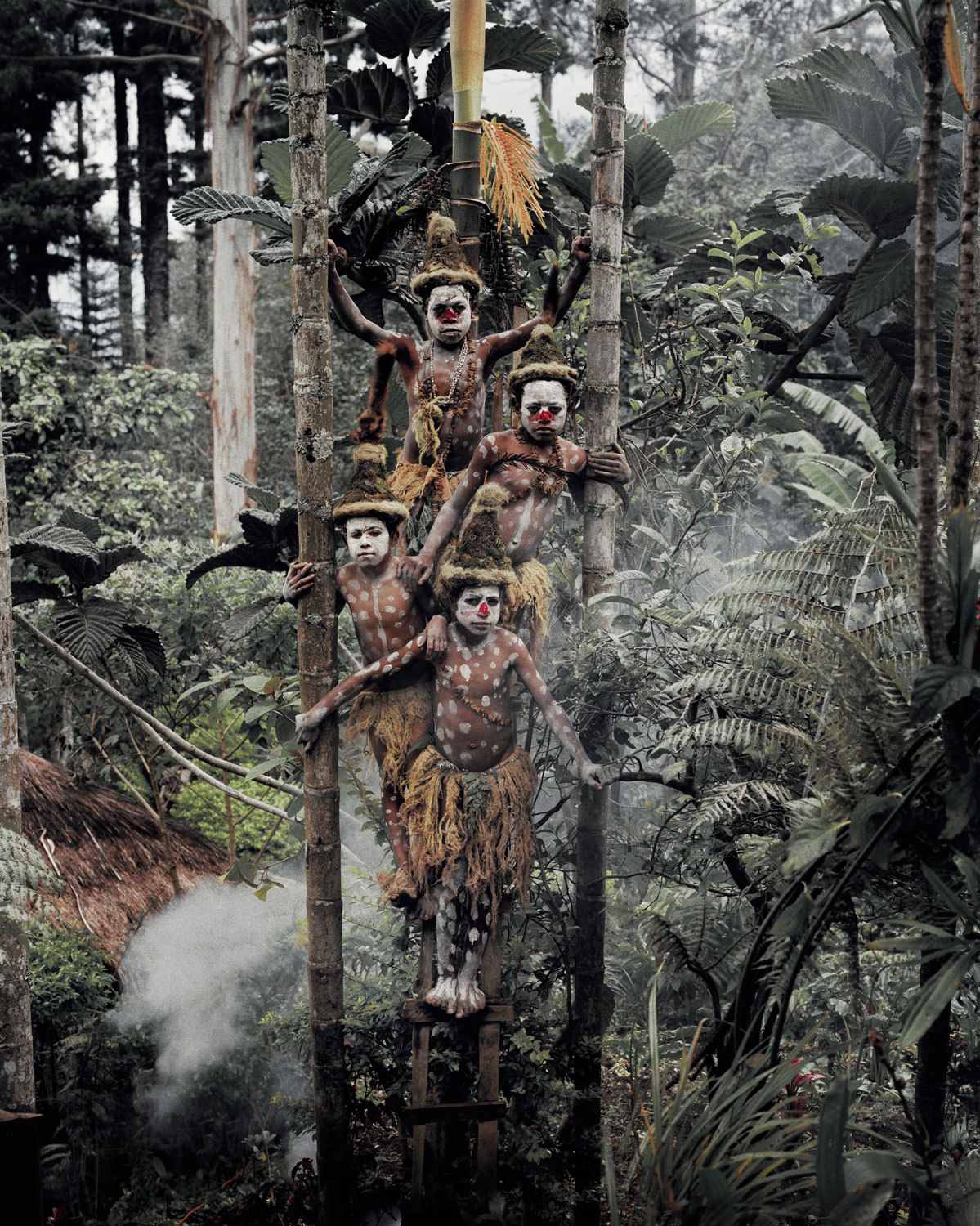 tribu