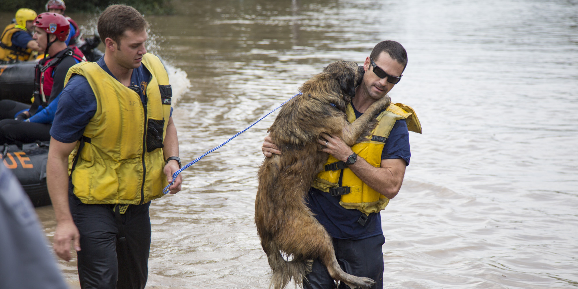 Austin Firefighters Save Dog From Floodwaters Because They 'Don't Just