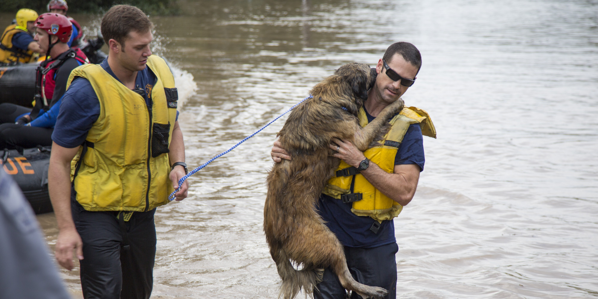 austin-firefighters-save-dog-from-floodwaters-because-they-don-t-just