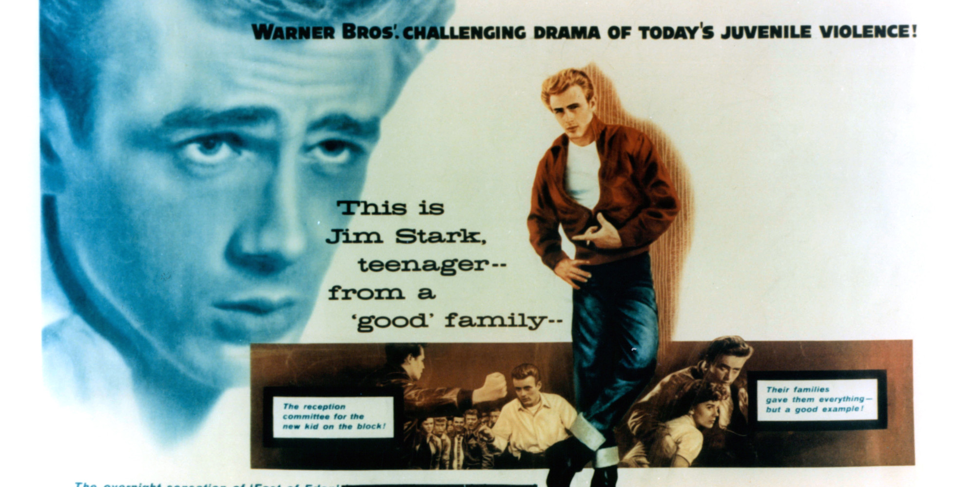 rebel without a cause summary essay rebel without a cause summary essay