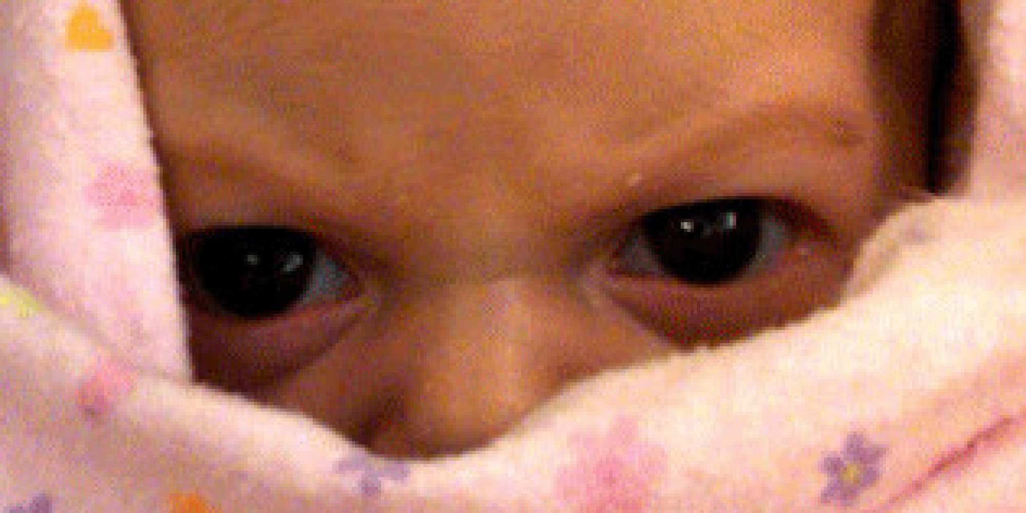 The Evil Baby GlareOff 16 Babies You Do NOT Want To Mess