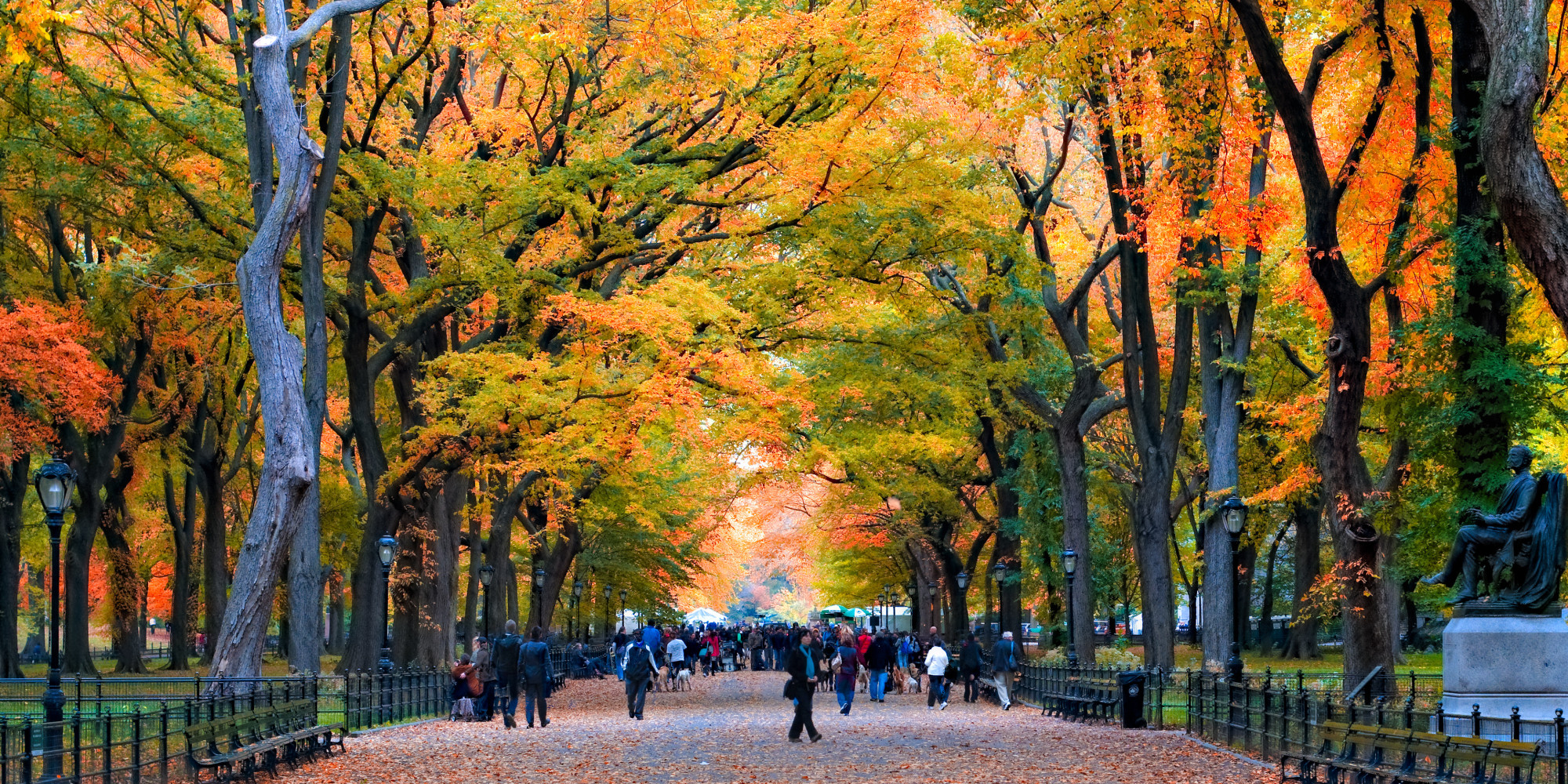 Getaways Without Leaving Home HuffPost   O CENTRAL PARK Facebook 