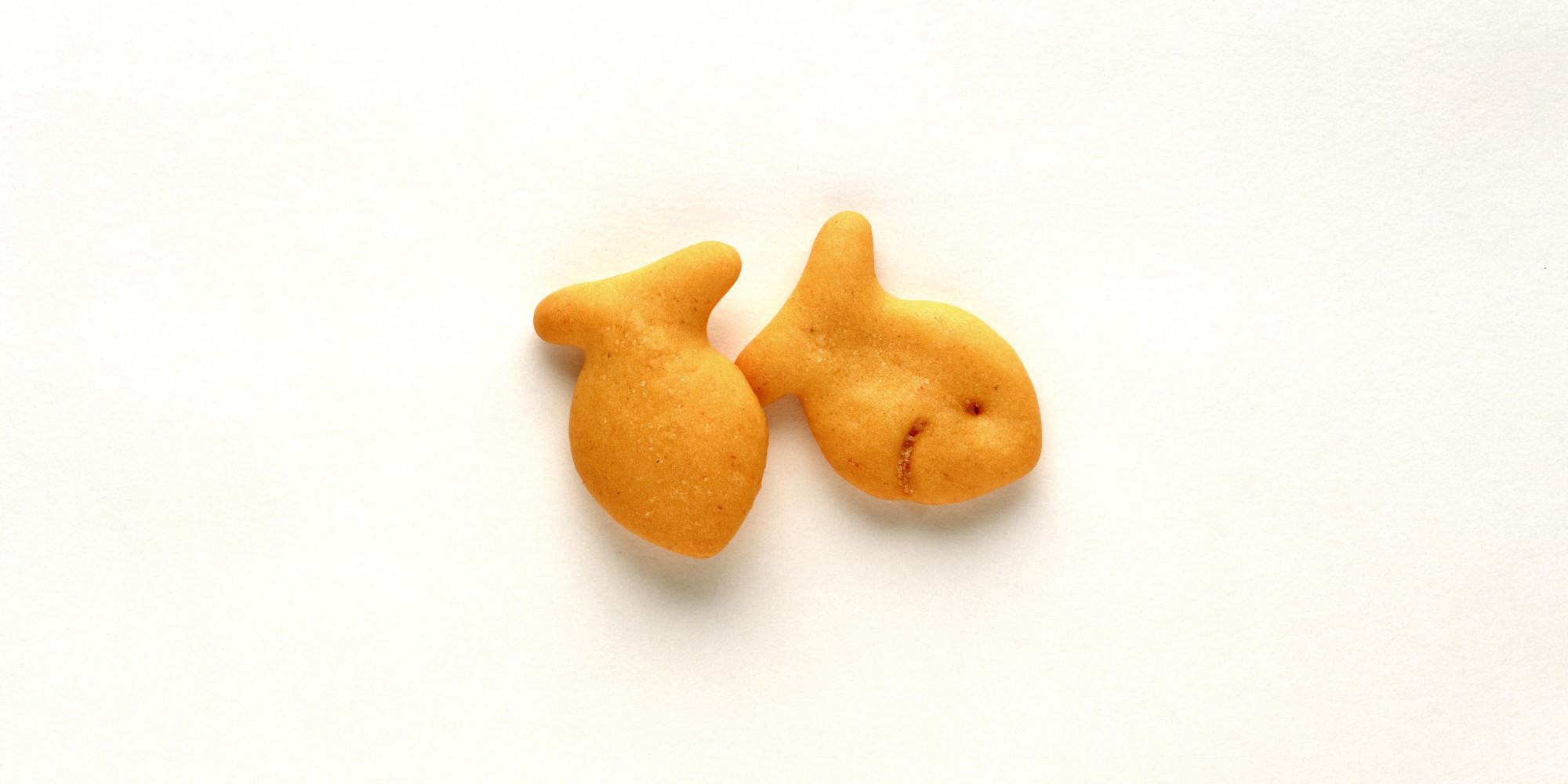 Lessons From a Box of Goldfish (Even the Whole Grain Kind) HuffPost