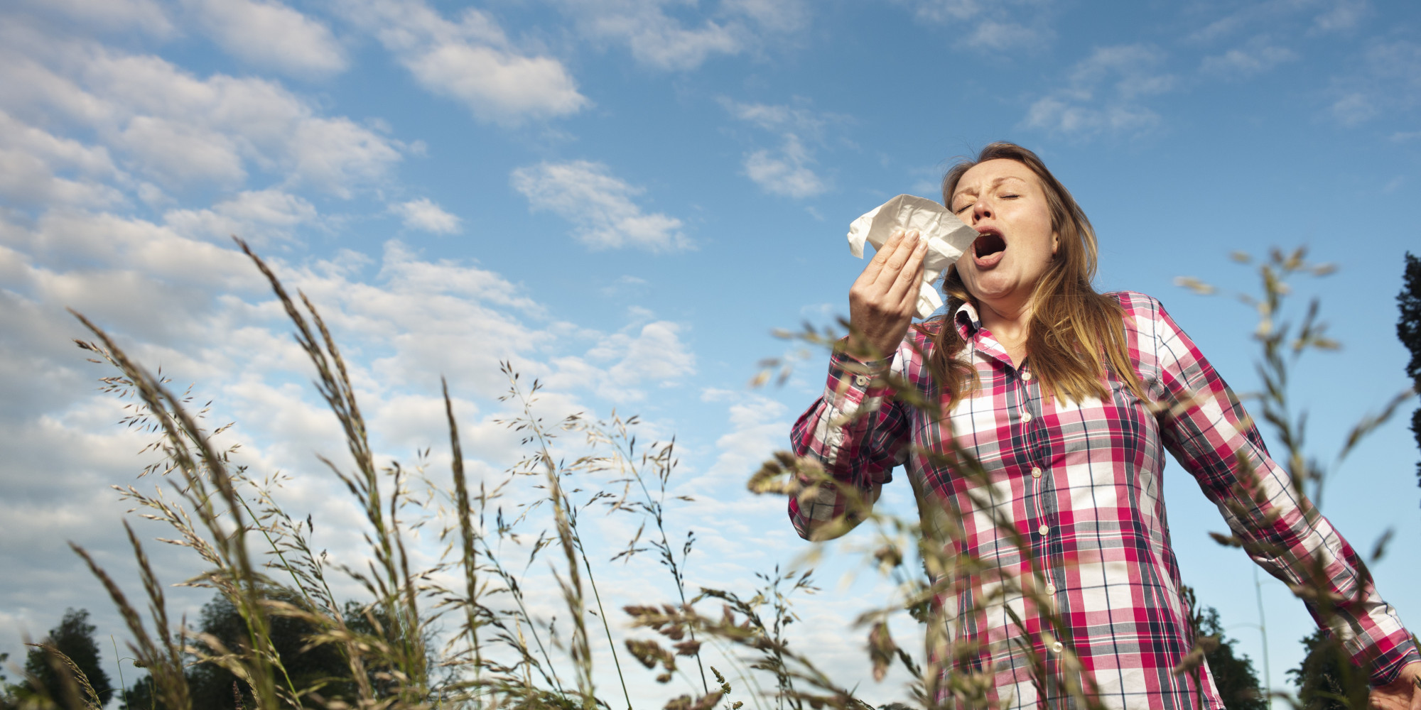 The Season Of Sneezing Allergy Remedies And Traditional Chinese 