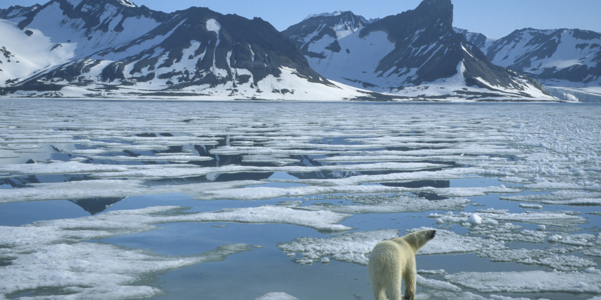 arctic national wildlife refuge dispute arctic national wildlife refuge dispute