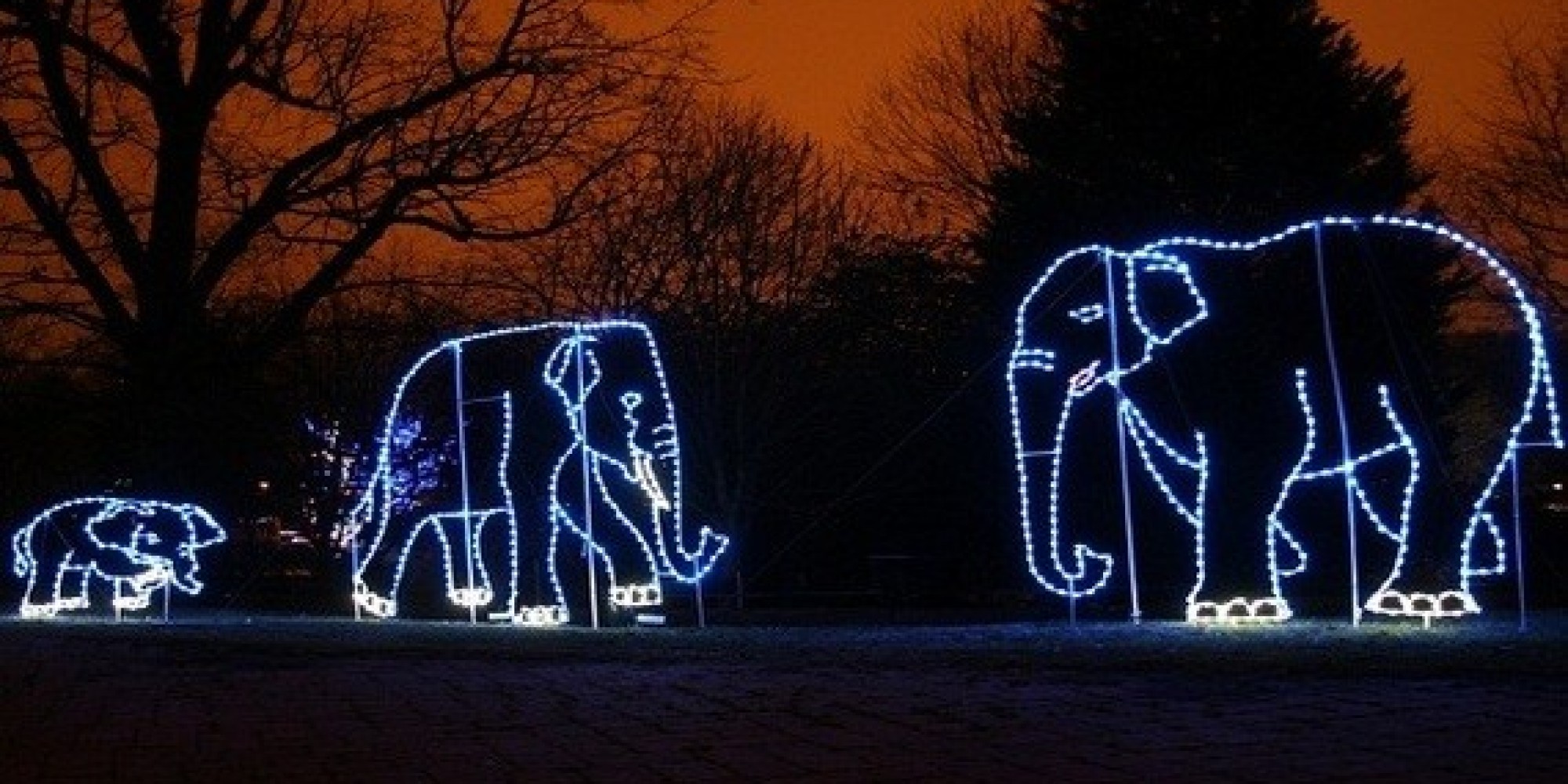 Zoos Light Up the Holiday Season HuffPost