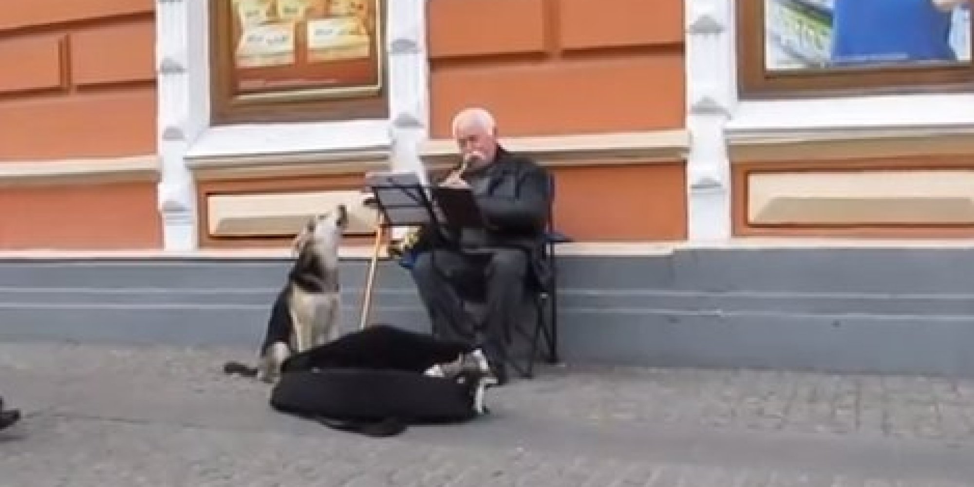 WATCH: Stray Dog Accompanies Ukrainian Street Performer In Impossibly Adorable Duet
