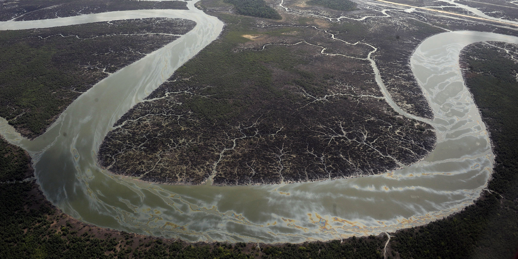 Image result for nigeria delta pollution