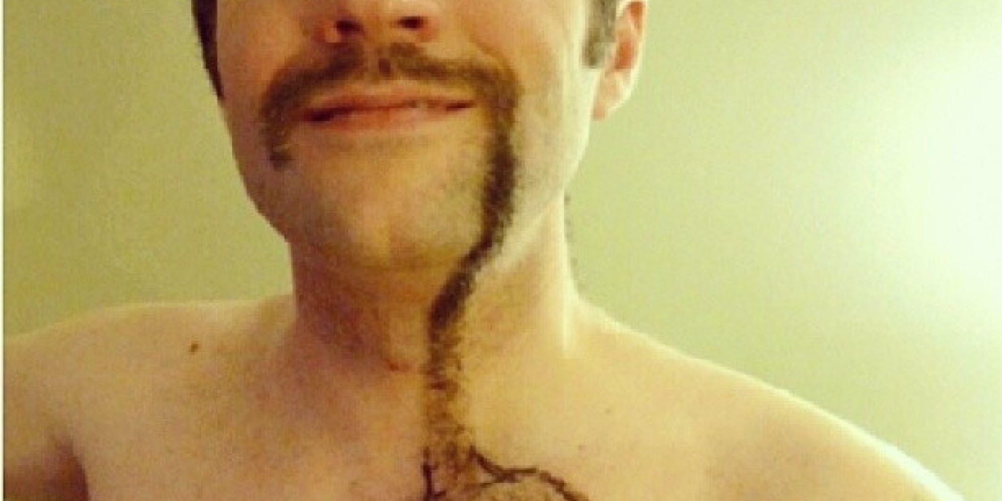 This Is Chest Hair In The Shape Of A Cat HuffPost