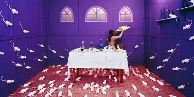 L'artiste Jee Young Lee transforme son studio en pays des merveilles
