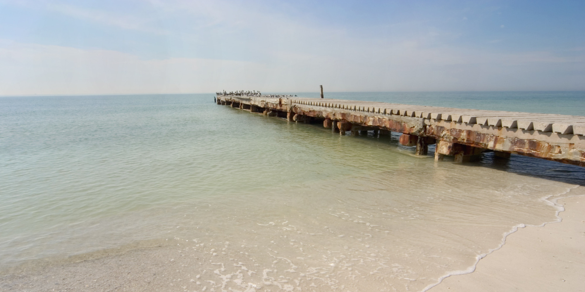 Bradenton Area Ain T Nothing Like The Real Thing Huffpost