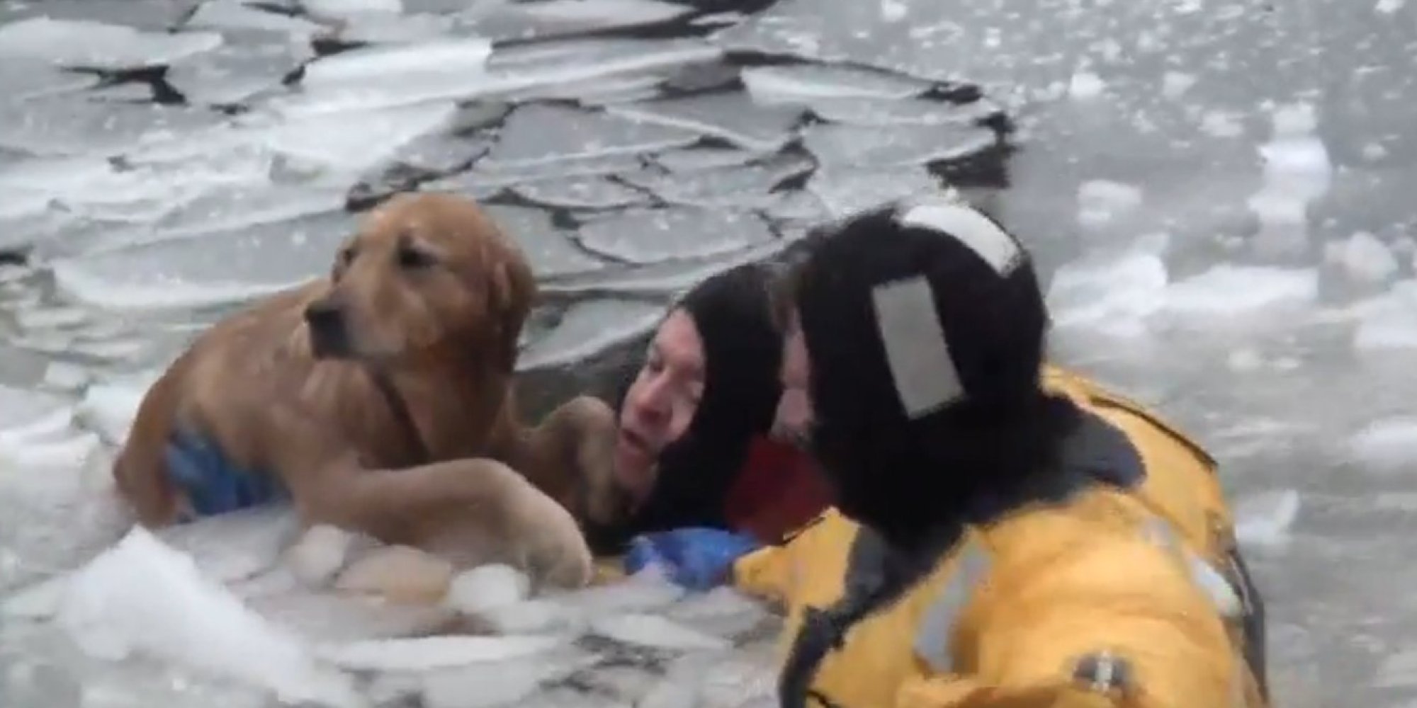 Firefighters Take Icy Plunge To Rescue Dog In Heartwarming Video HuffPost