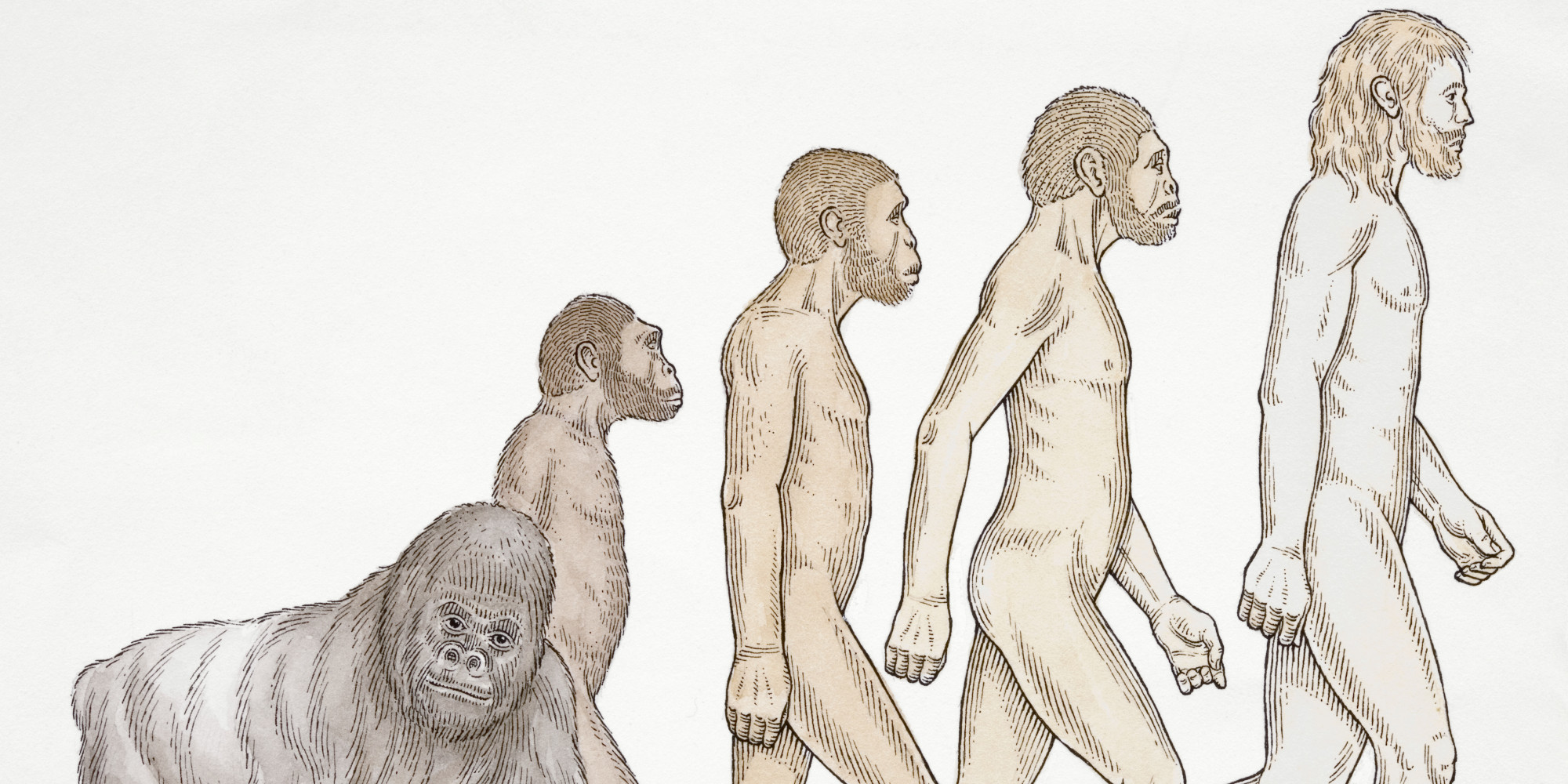 darwin destroyed the concept of human Social effects of evolutionary theory all weeded out and destroyed of overcoming modern day misinterpretations of the concept of survival of. darwin destroyed the concept of human Social effects of evolutionary theory all weeded out and destroyed of overcoming modern day misinterpretations of the concept of survival of.