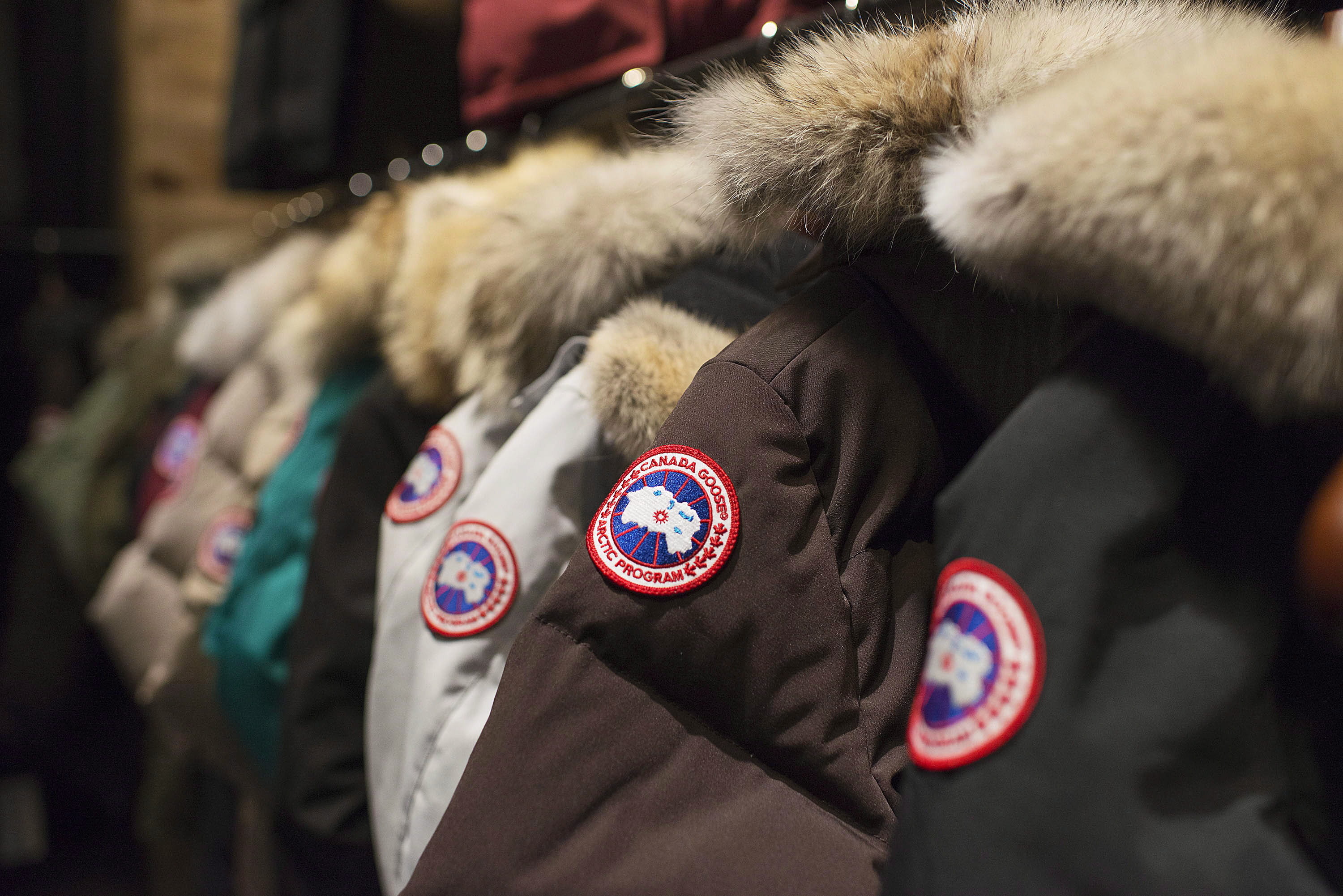 5 Online Retailers That Have Opened Real-World Stores In Canada ...