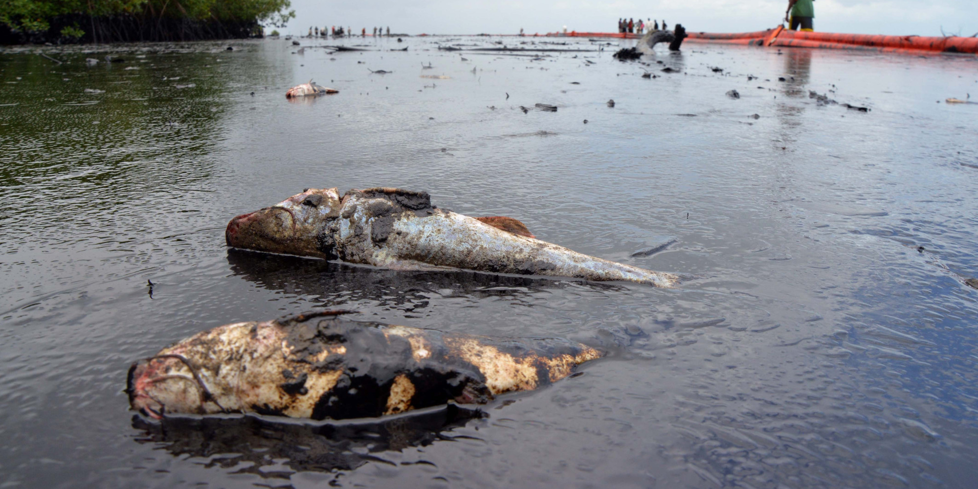 Trinidad Oil Spills Leave State-Owned Energy Company Scrambling To