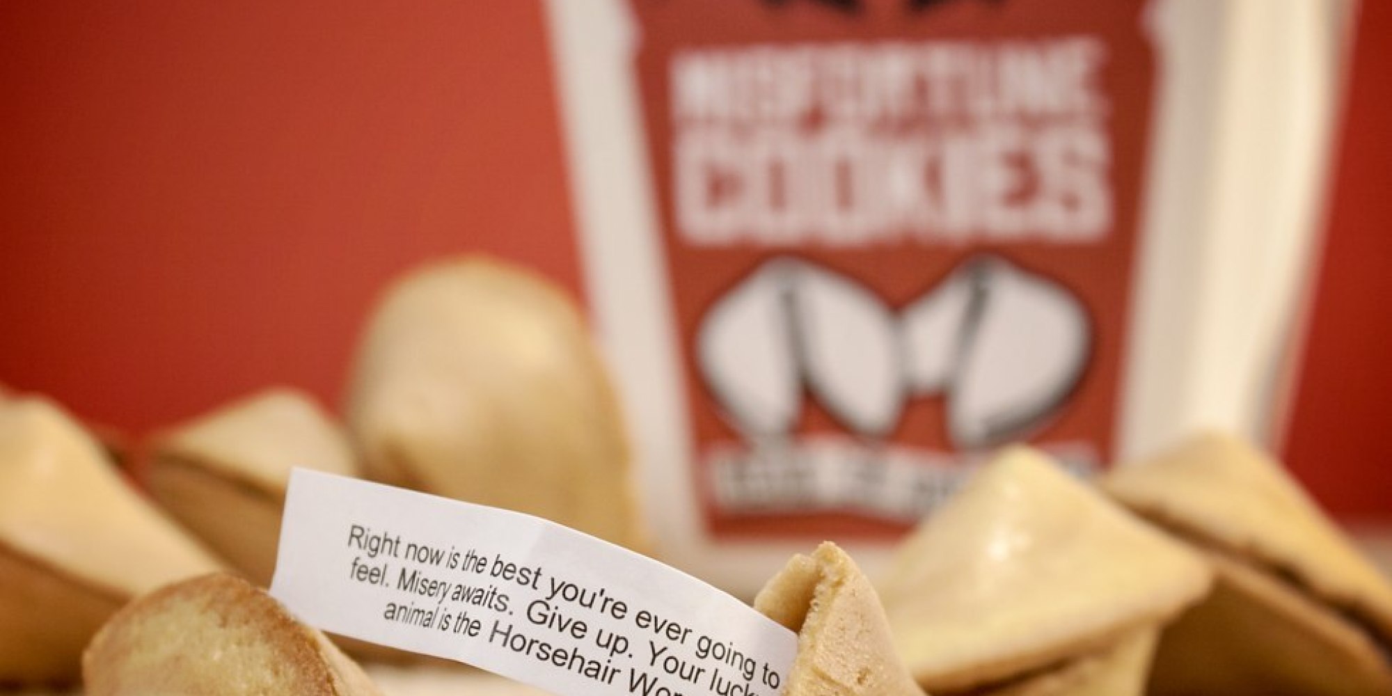 Misfortune Cookies Tell It Like It Is PHOTOS HuffPost