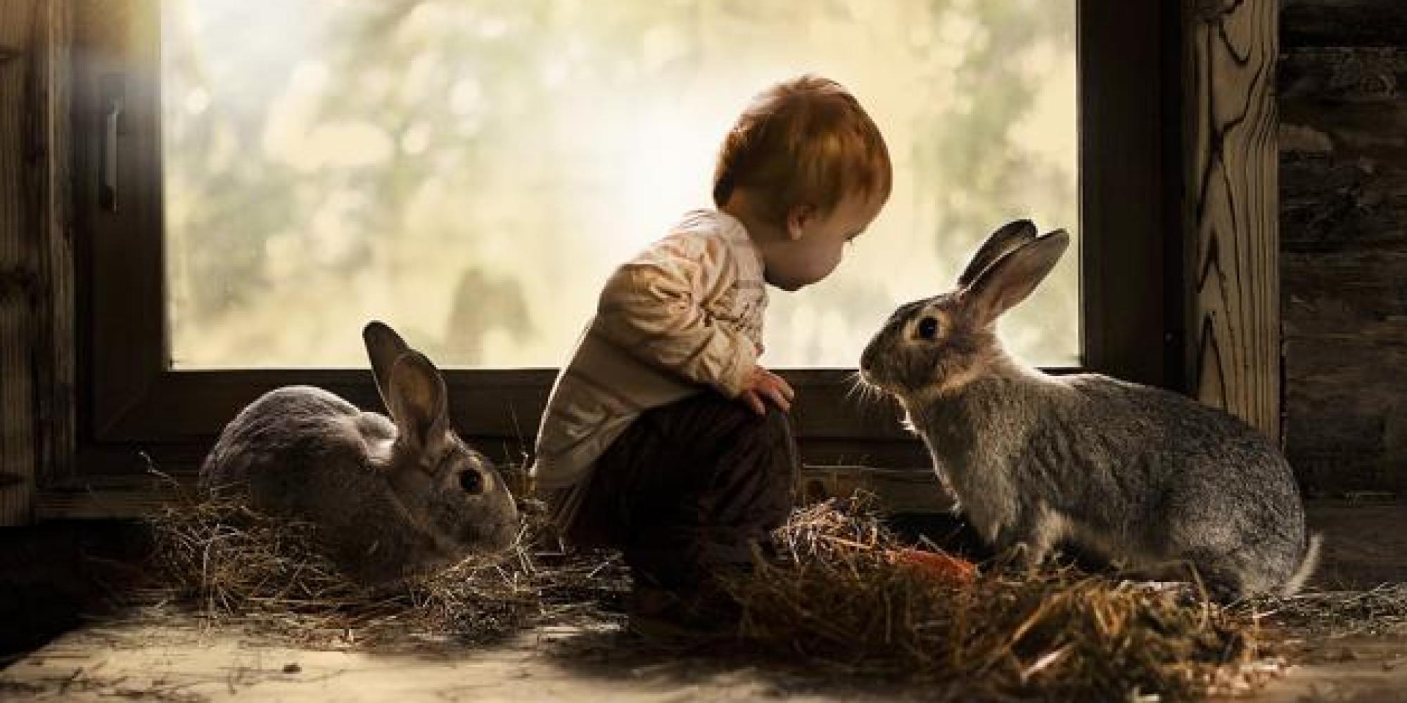 These 8 Magical Photos Of Child Animal Whisperers Will Make You Happy