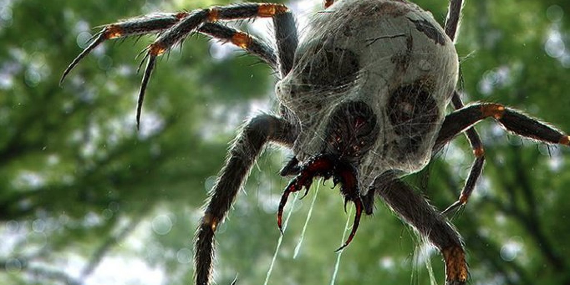 Nate Hallinan, Freelance Artist, Creates Incredible Creature Portraits