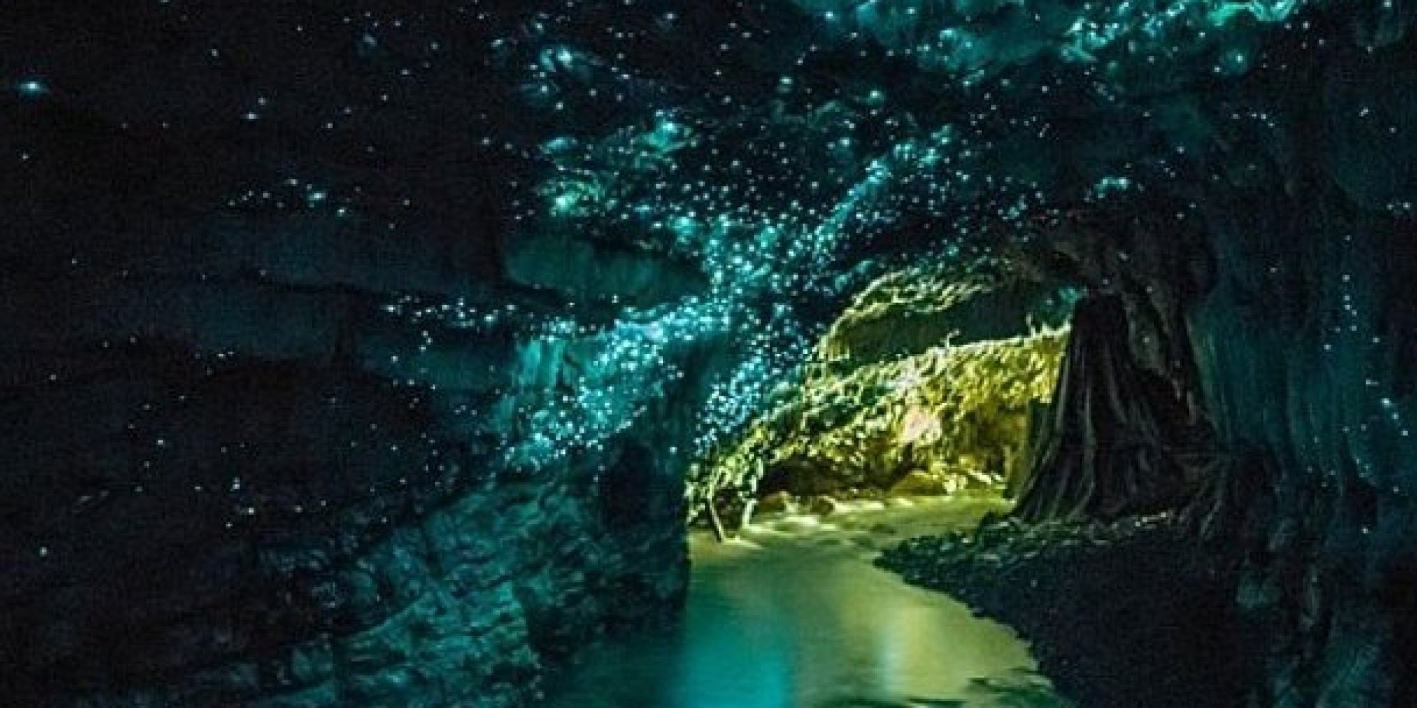 new-zealand-has-a-cave-full-of-glow-worms-and-you-should-go-inside-it