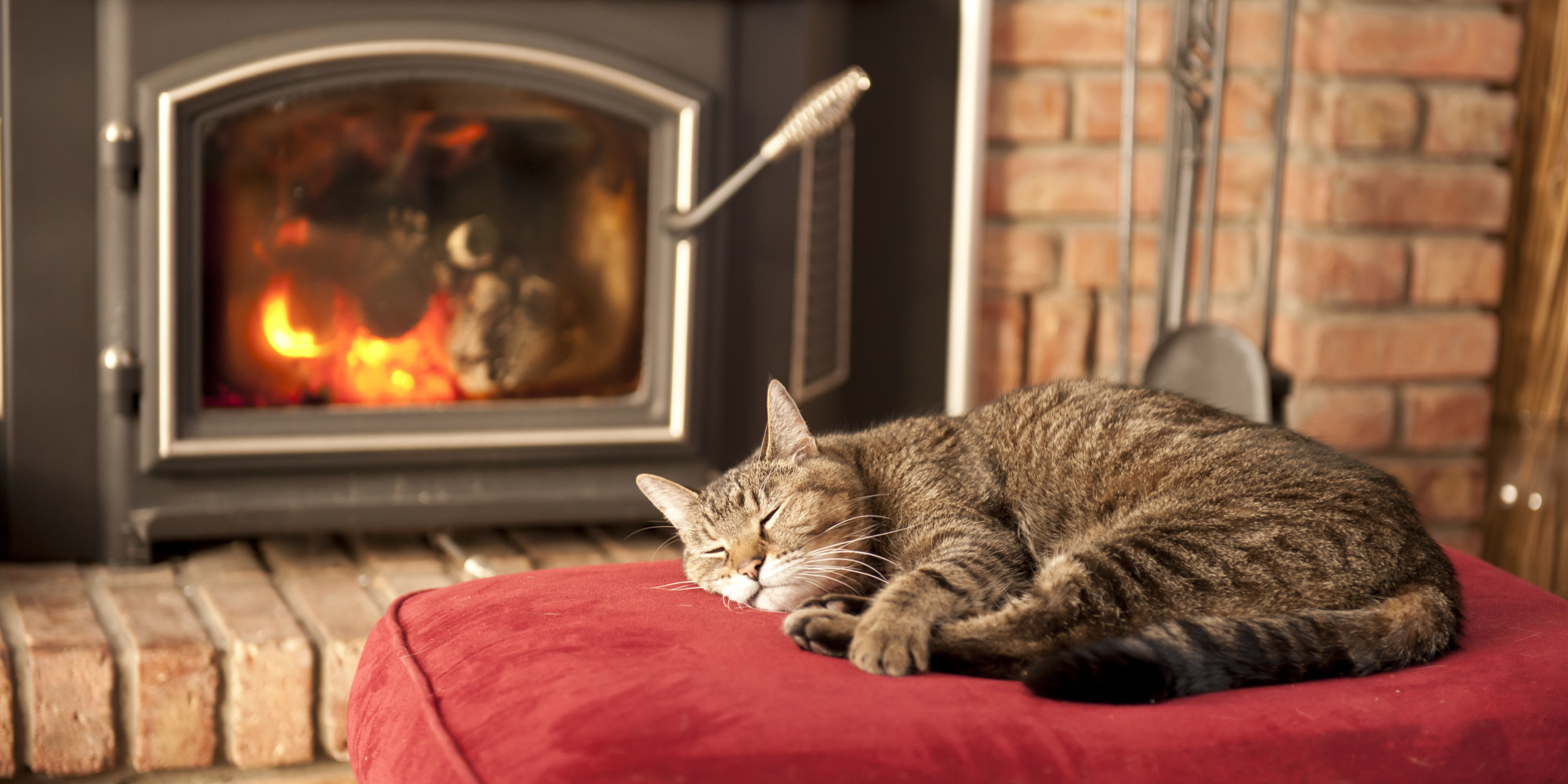 9 Unusual Ways To Keep Your Home Warm Without Turning Up The Heat | HuffPost