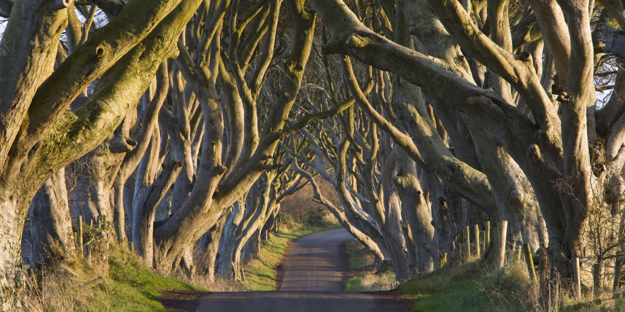 Ireland's Dark Hedges Is The Most Mystifyingly Cool Road Ever HuffPost