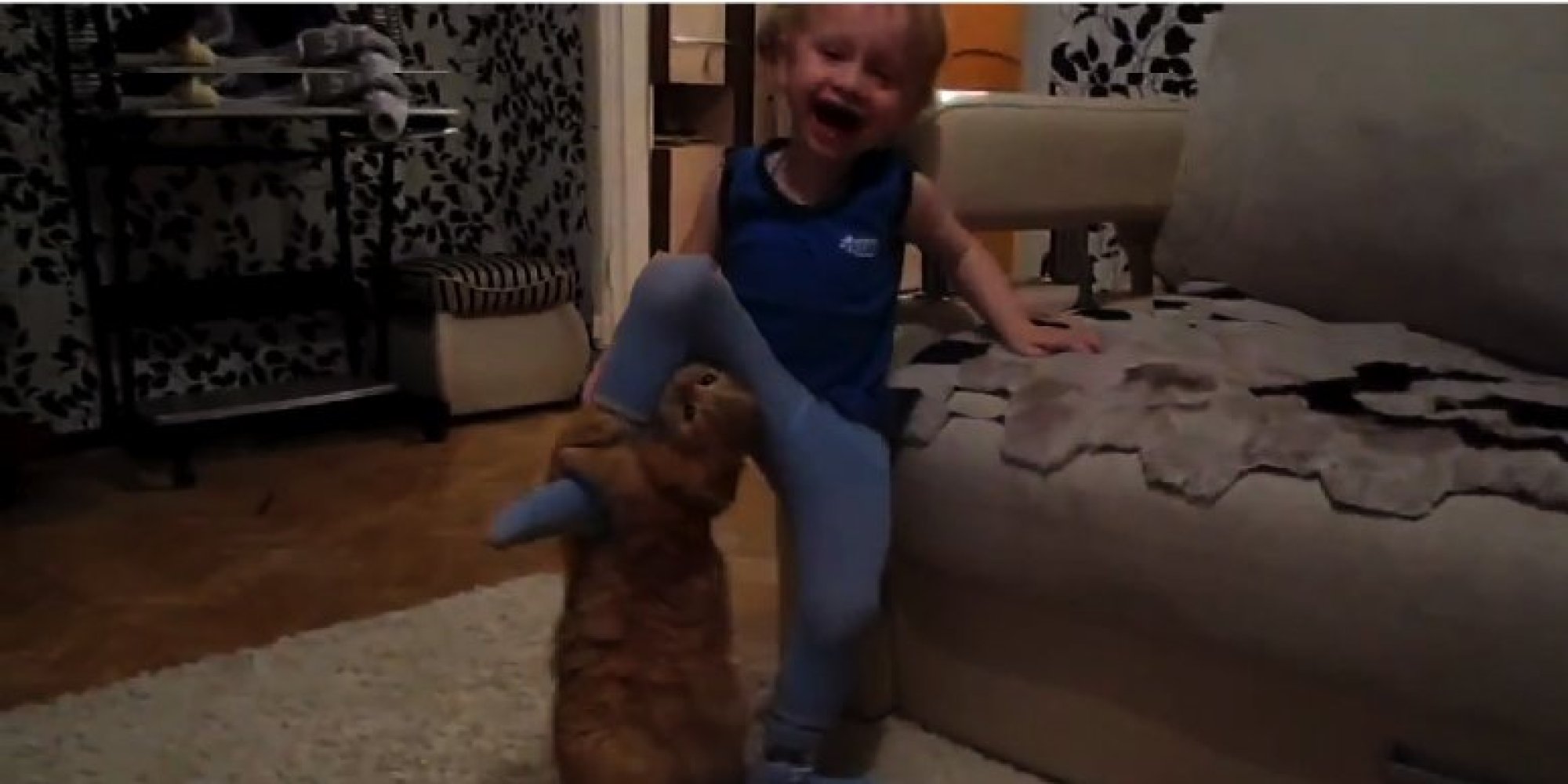 Cats Fight Kids, People Just Stand Around And Film It (VIDEO) HuffPost