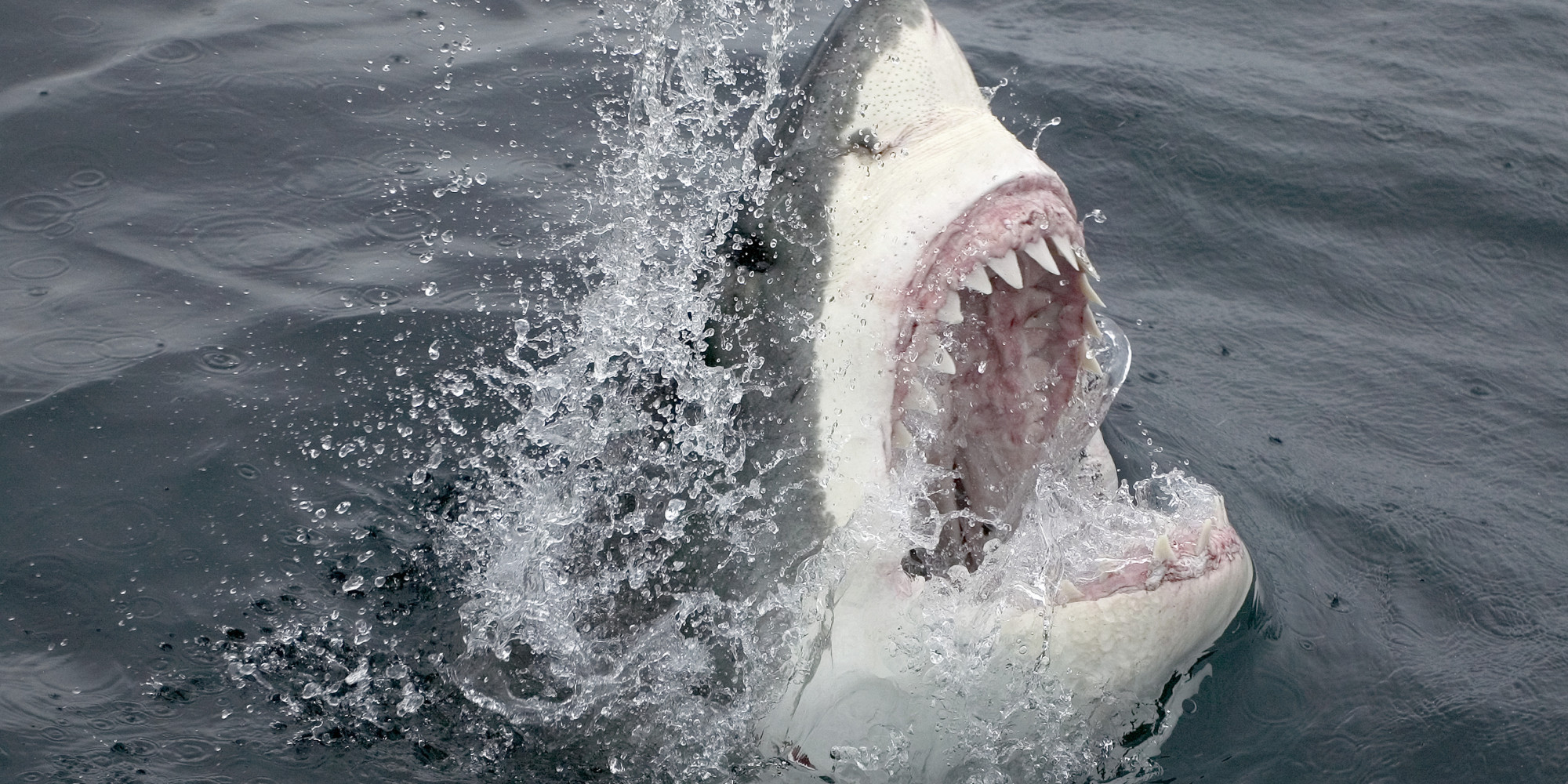 10 Beach Dangers Everyone Should Watch Out For | HuffPost