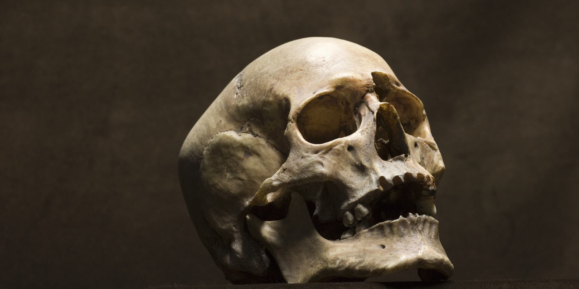 Tantrum of the Dead: Screaming Skulls | HuffPost