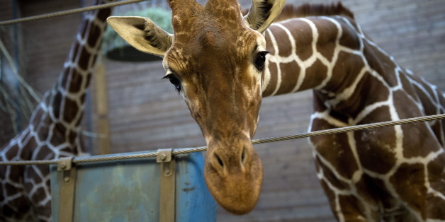 Das ist Marius.