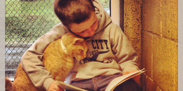 Dieses Bild eines Book Book Buddy mit einer Katze eroberte das Internet im Sturm.