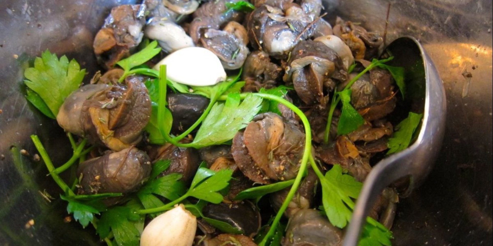 canned escargot recipes