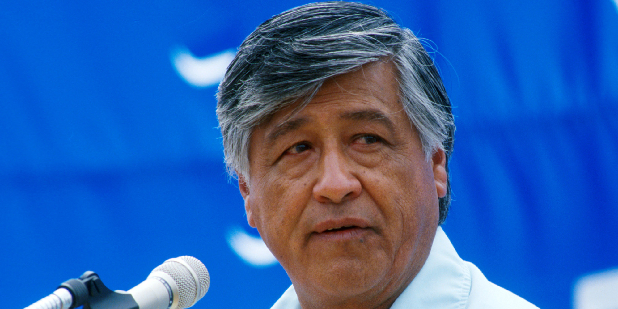 dear-filipino-organizers-erased-by-the-cesar-chavez-movement-huffpost