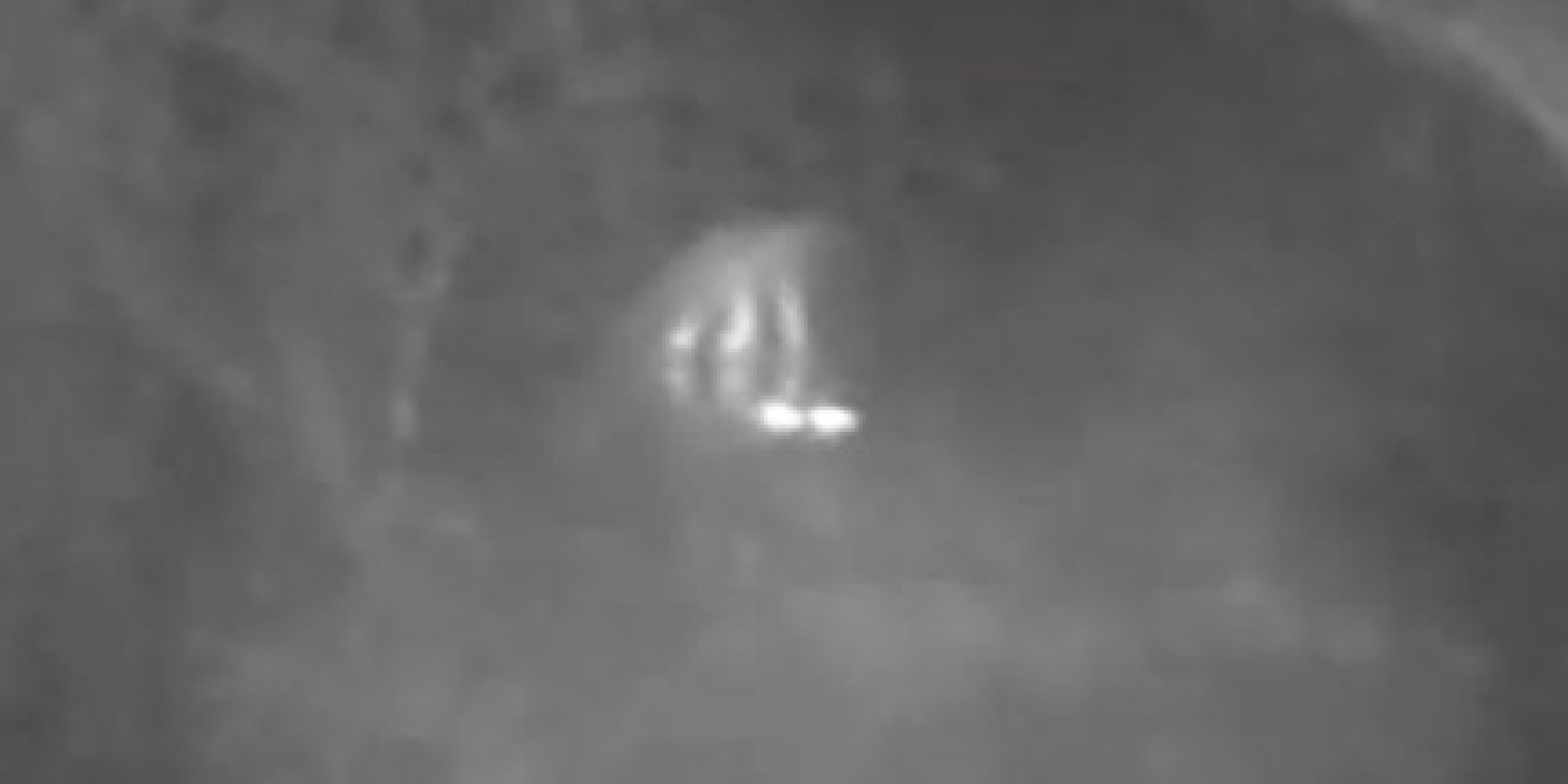 Yowie: Australia's Bigfoot 'Caught On Camera' (VIDEO) | HuffPost UK