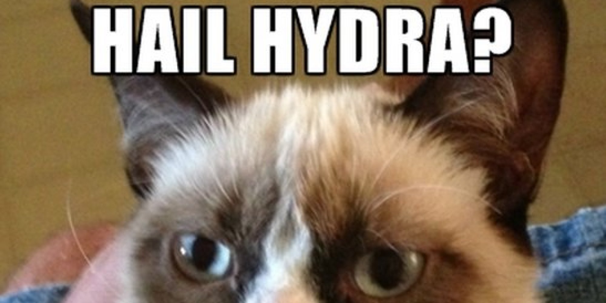 Hail Hydra Is The New Meme To Love Or Hate HuffPost