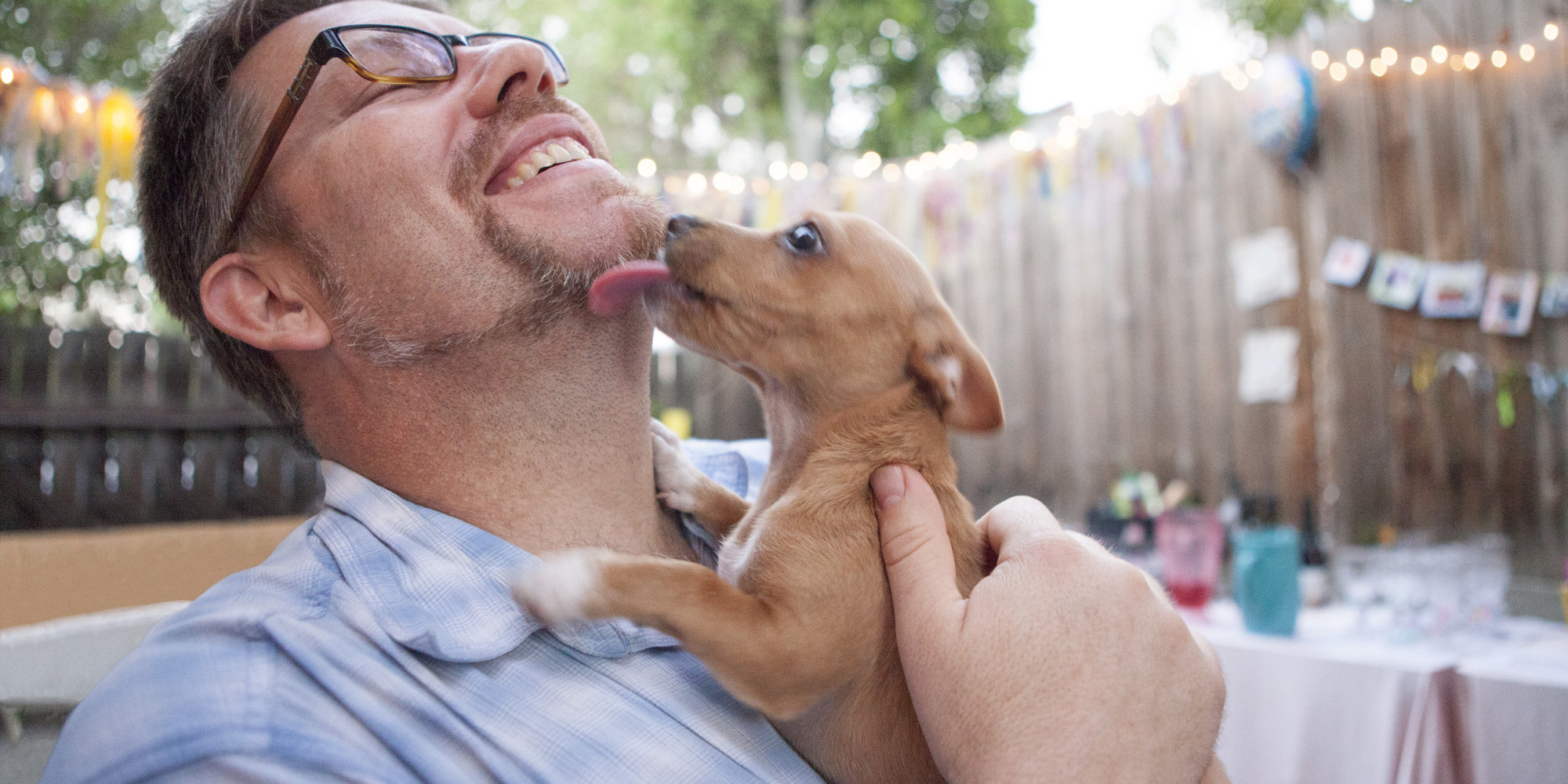 These Cats And Dogs Are Basically Obsessed With Their Owners HuffPost