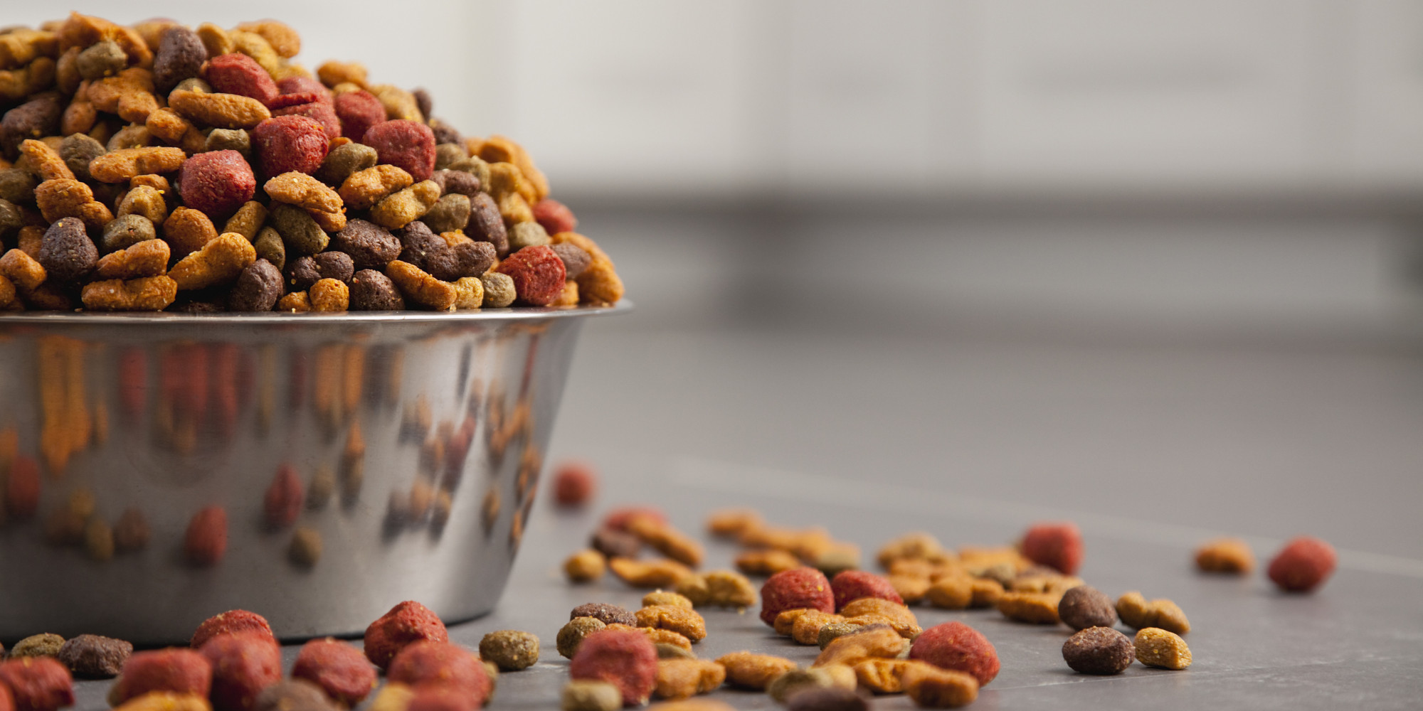 Changes Ahead For The Pet Food Industry HuffPost