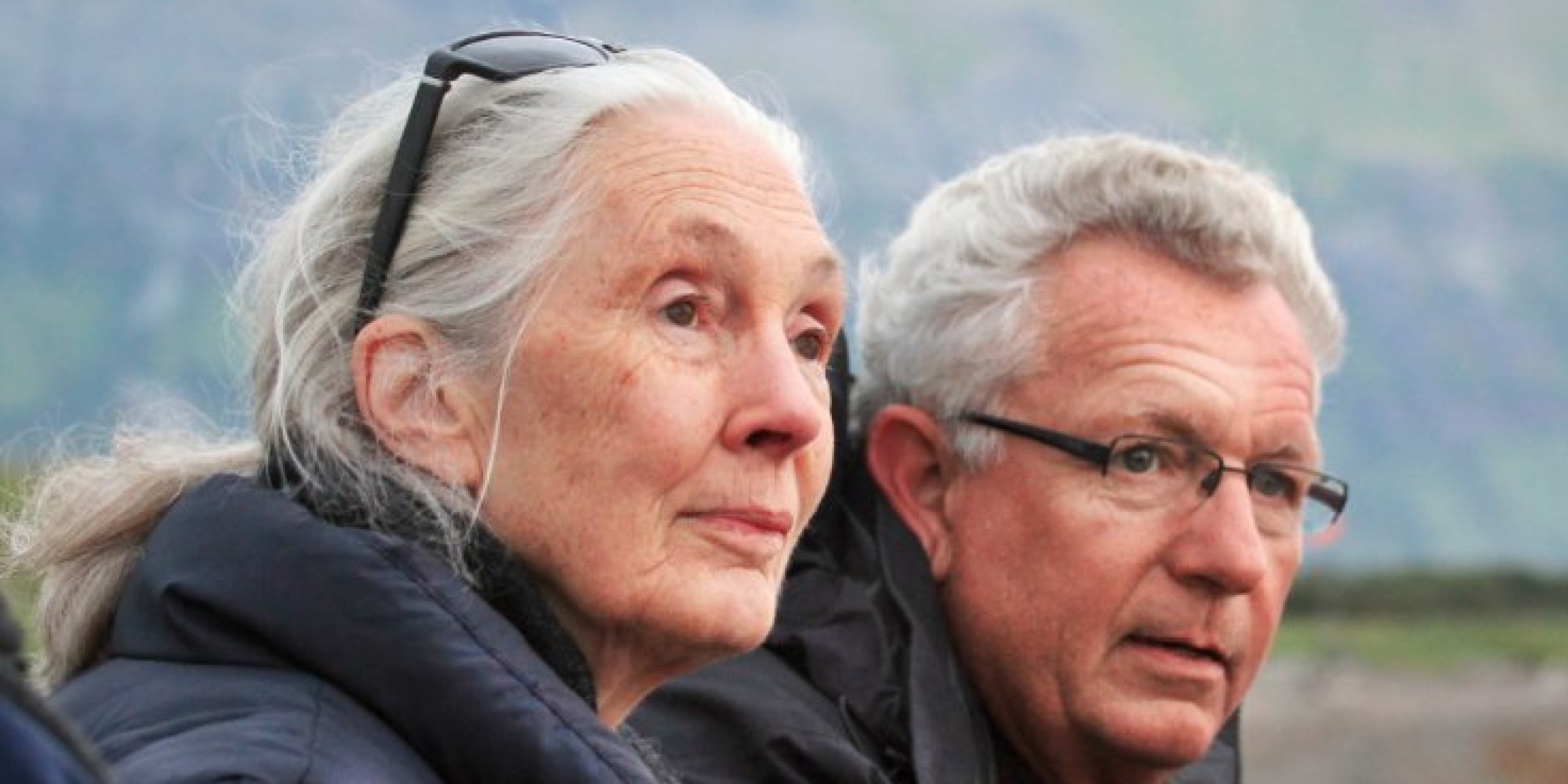 Jane Goodall Trade Chimps For Bears In New Disney Movie | HuffPost
