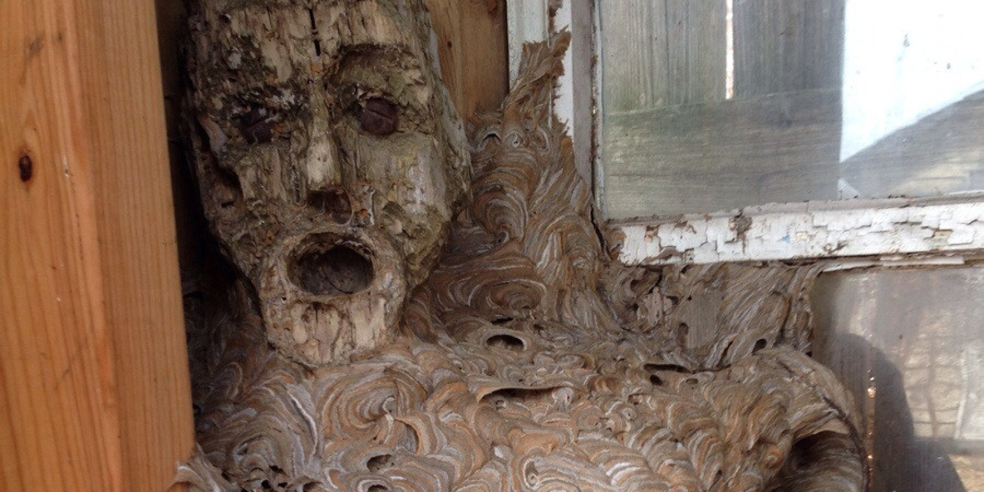 Sorry This Hornets Nest With A Face Is Going To Haunt Your