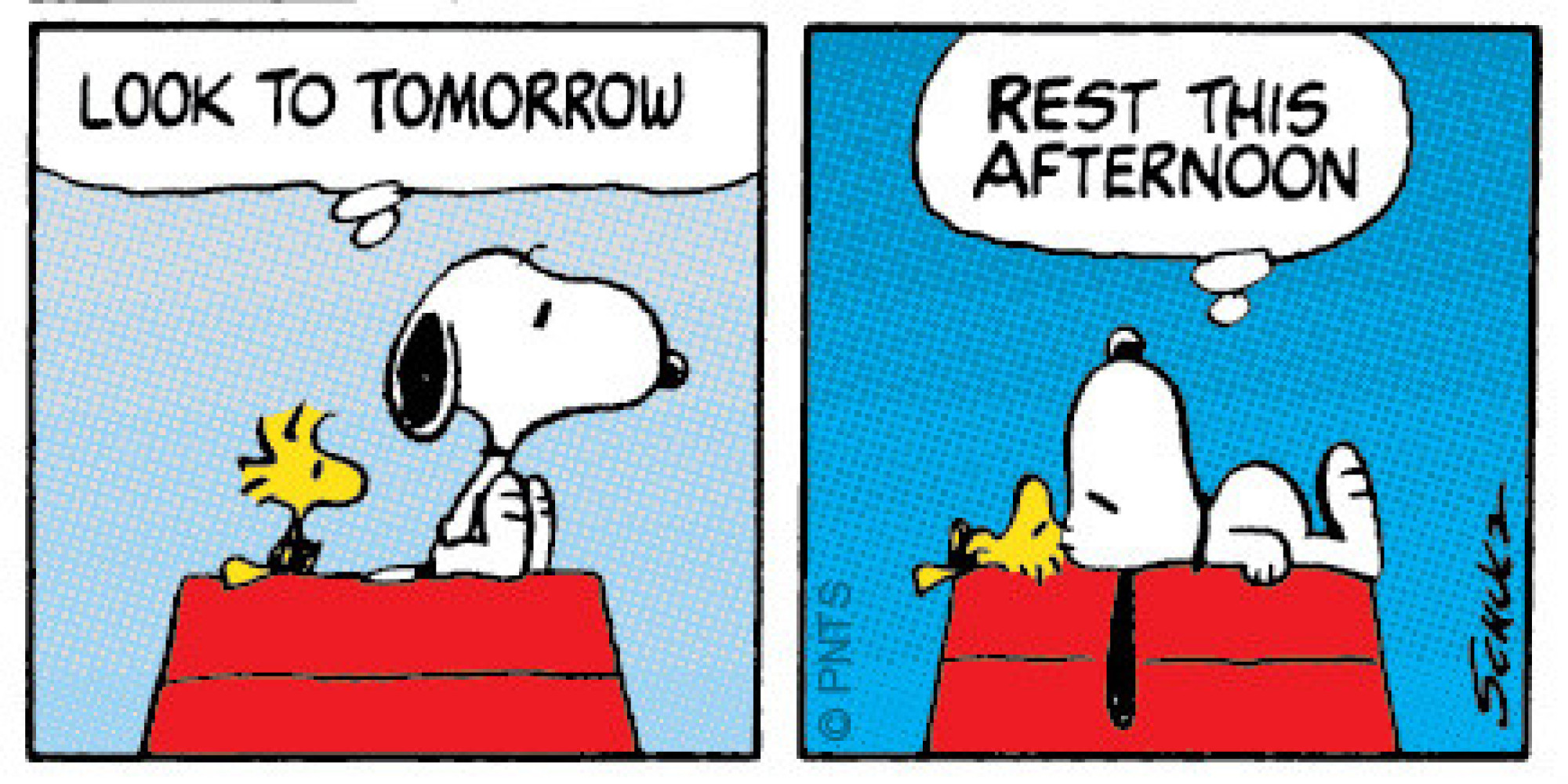 9 Reasons To Take A Nap Today | HuffPost