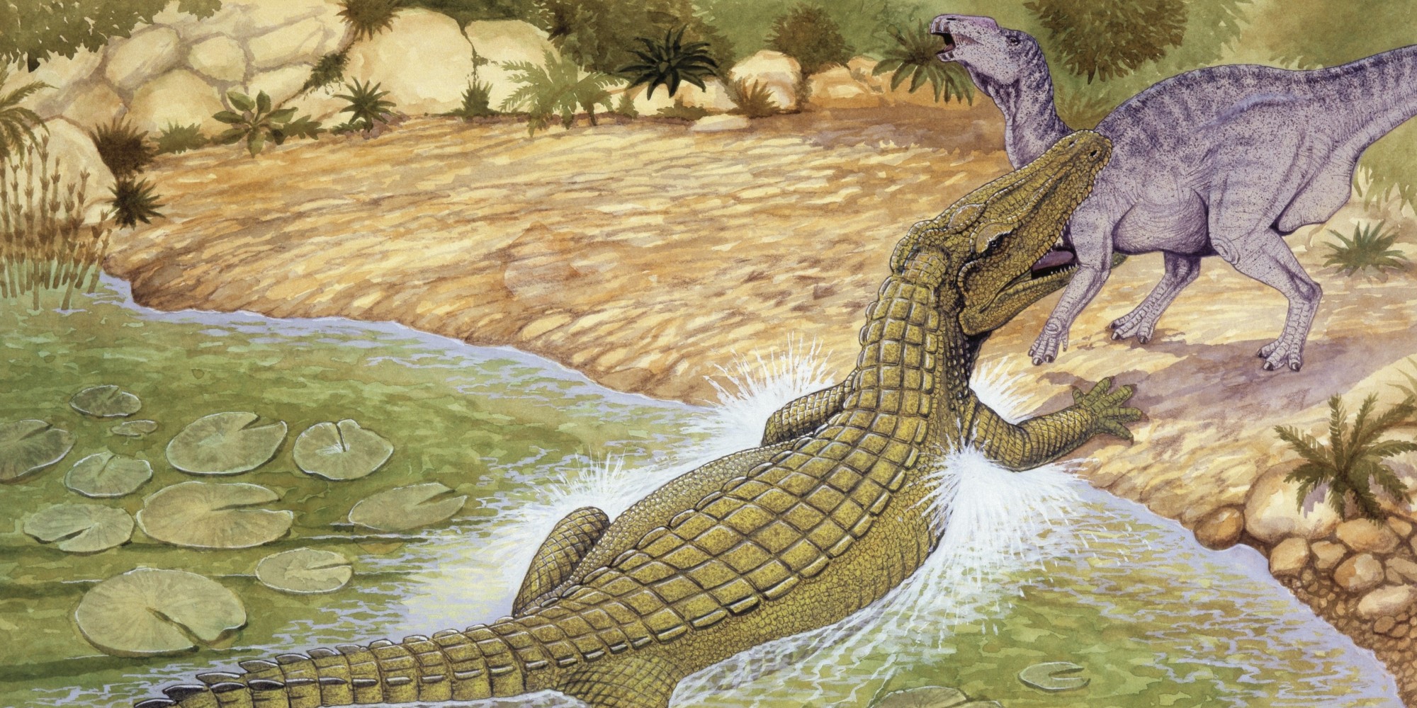 Древние времена динозавров. Древний крокодил дейнозух. Древний крокодил Саркозух. Гигантский крокодил доисторический. Крокодилы мезозойской эры.