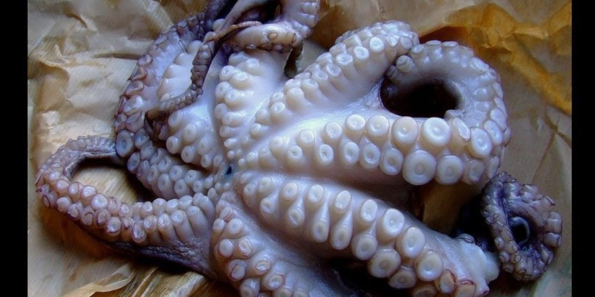 13-terrifying-ugly-foods-we-happily-eat-huffpost