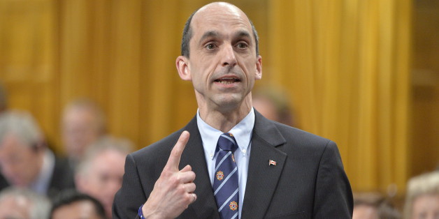 Newly obtained documents show Public Safety Minister Steven Blaney was informed more than once and long in advance that the RCMP was likely going to reclassify and ban a controversial semi-automatic rifle. (CP)