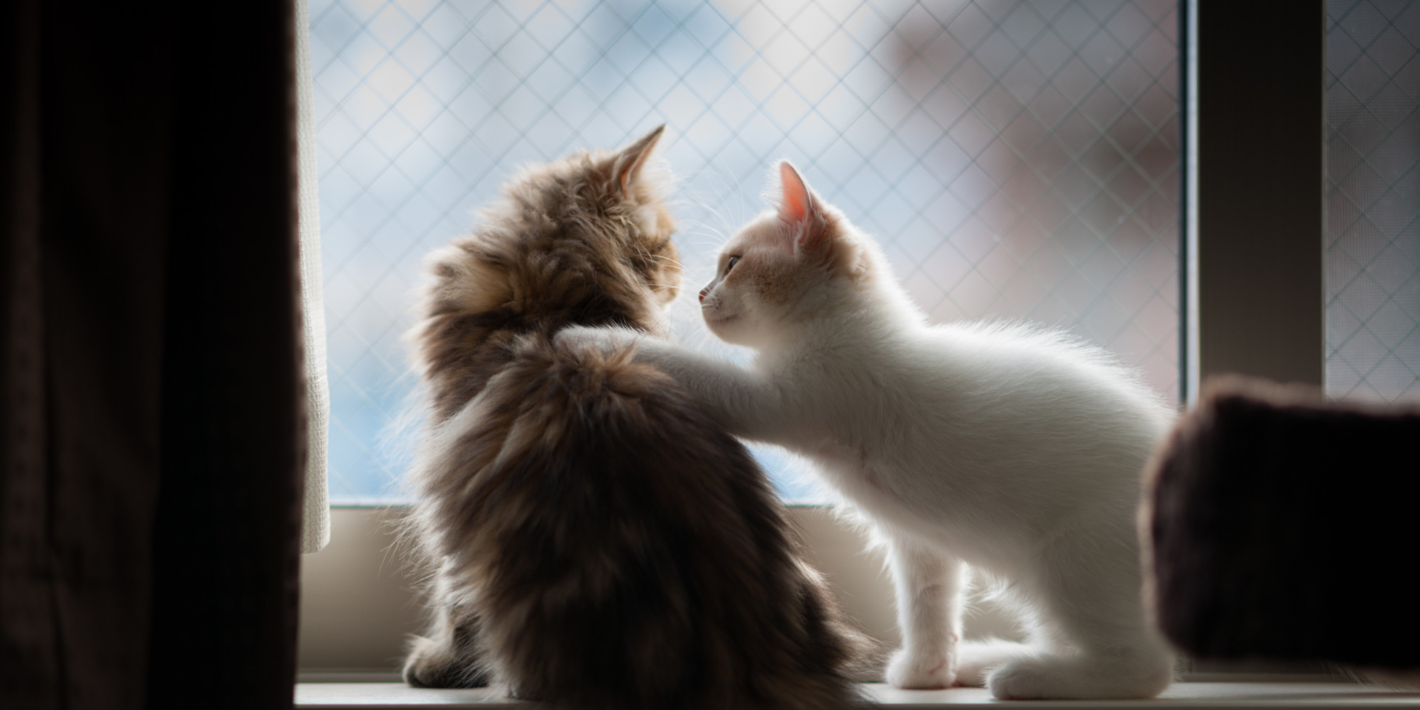 7 Practical Tips for Increasing Empathy HuffPost