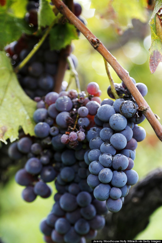 Eating Grapes May Protect Your Eye Health, Research Finds